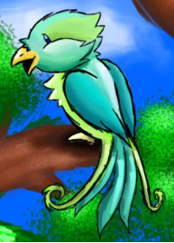 DancingQuetzal
