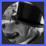 Fancy Doggy
