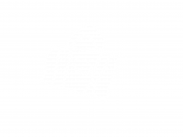 Mr. Funny Suitcase
